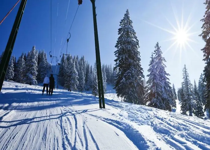 La Foret Du Praz - 1850 *
