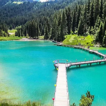 Résidence La Forêt Du Praz - 1850 Apartamento *
